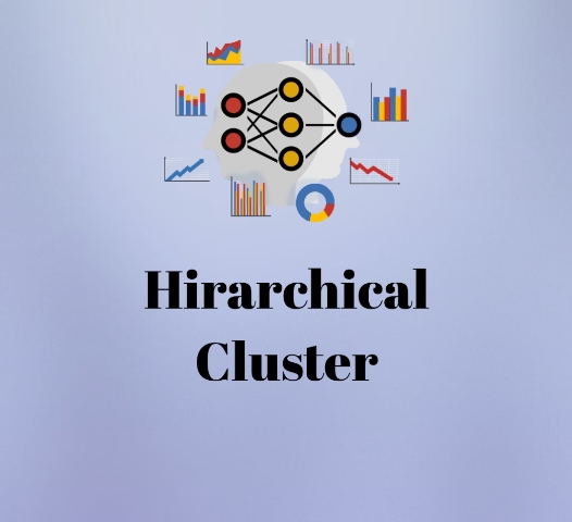 Hierarchical cluster